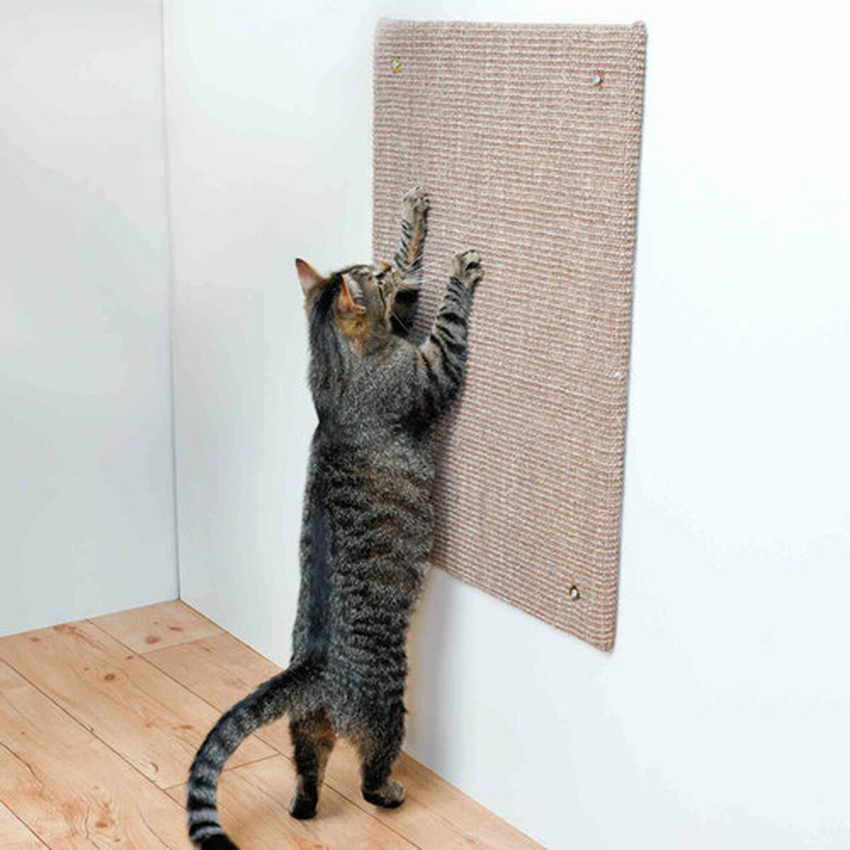 Scratching Post for Cats XXL Trixie Brown, view 3
