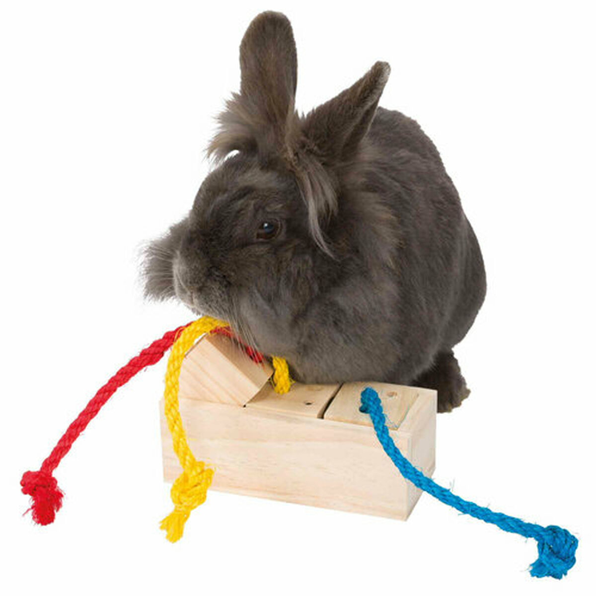 2-In-1 Treat Dispenser Toy for Pets Trixie 16 × 6 × 7 CM, view 6