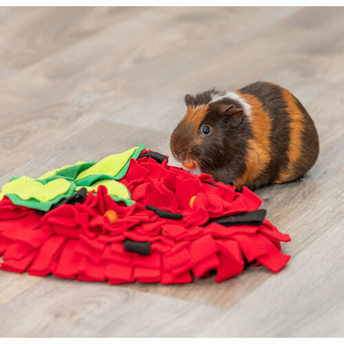 Snuffelmat voor Huisdieren Trixie