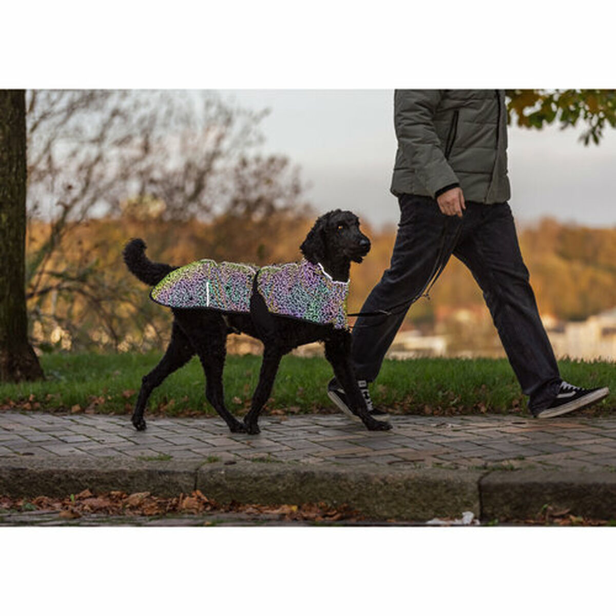 Hondenjas Trixie Limoux Reflect Multicolour M