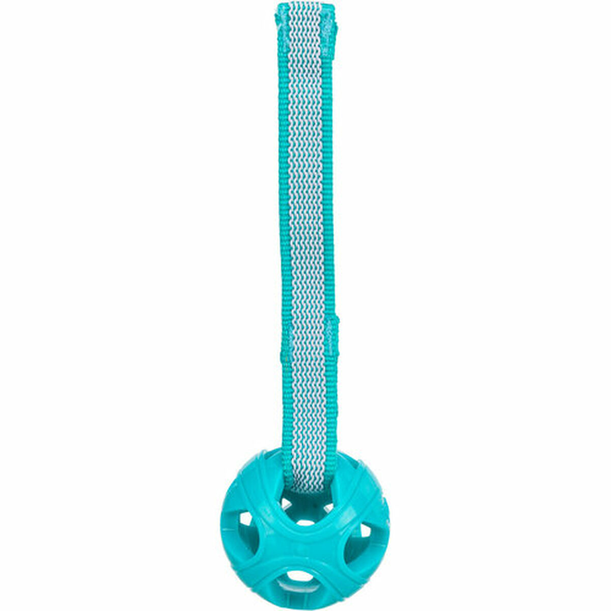 Pet Ball Trixie Turquoise TPE Ball ø 6 x 23 cm, view 4