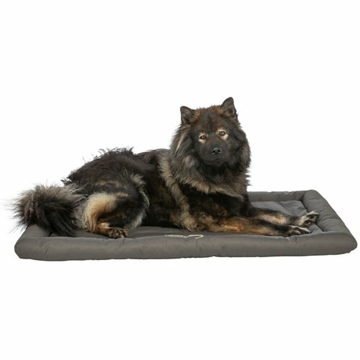 Pet blanket Trixie Samoa Classic Green Olive Polyester 130 x 80 cm, view 6