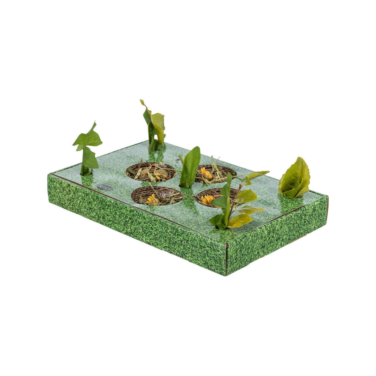 Snack tray Trixie Green Cardboard 28 x 3,8 x 18 cm, view 3