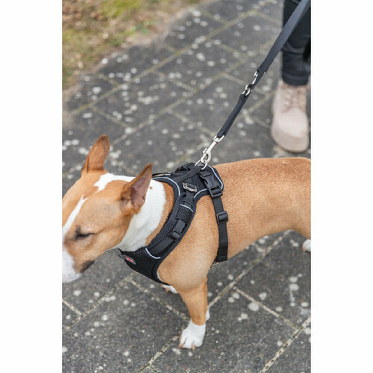 Dog Harness Trixie Premium FlexMesh Black XS/S, view 6