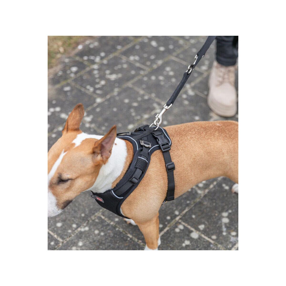 Dog Harness Trixie Premium FlexMesh Black M, view 5