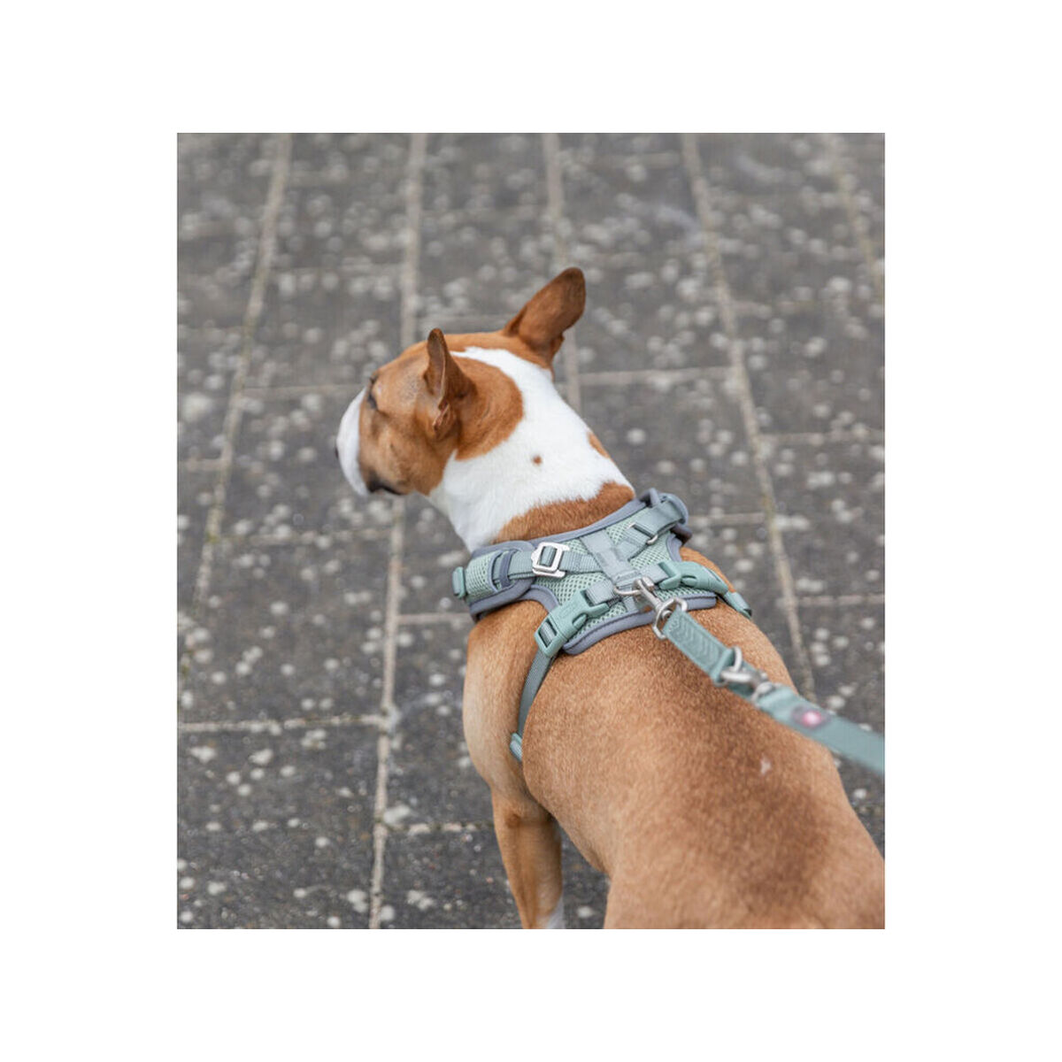 Hondentuigje Trixie Premium FlexMesh M