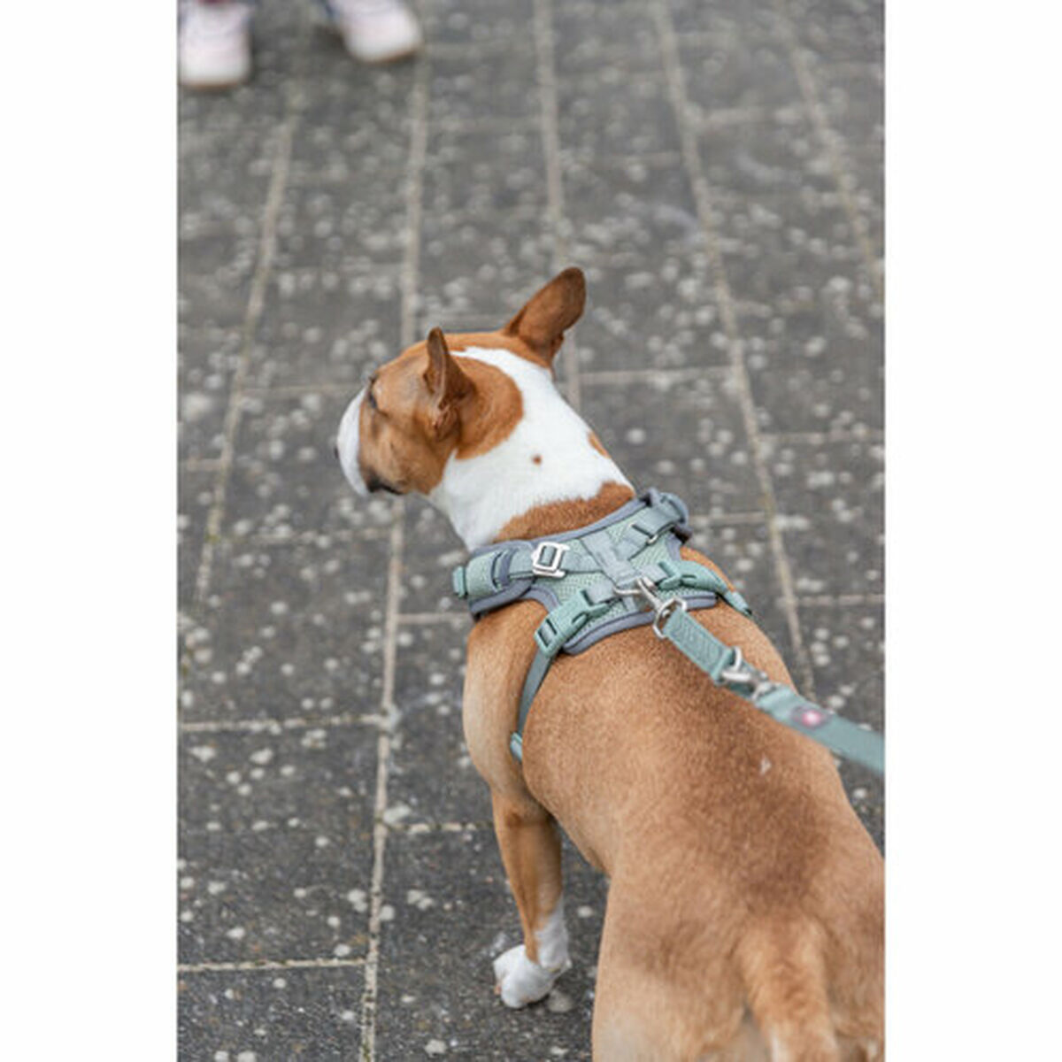 Hondentuigje Trixie Premium FlexMesh M