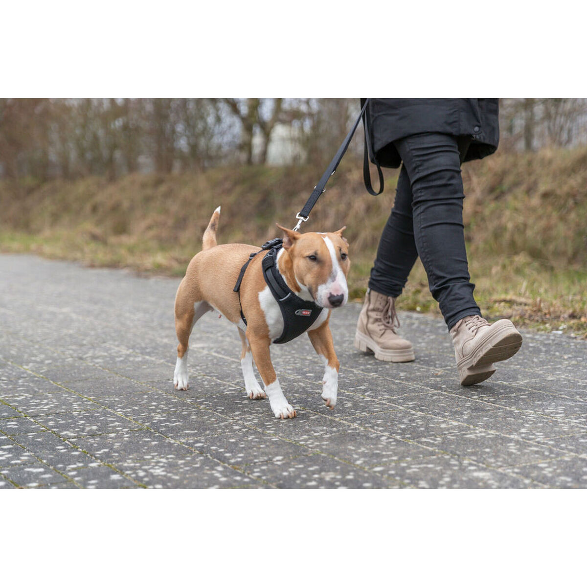 Dog Harness Trixie Premium FlexMesh Black L, view 5