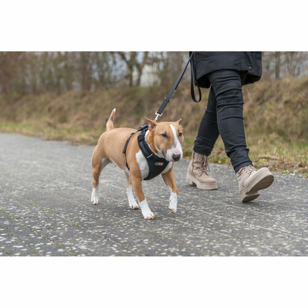 Dog Harness Trixie Premium FlexMesh Black L, view 6