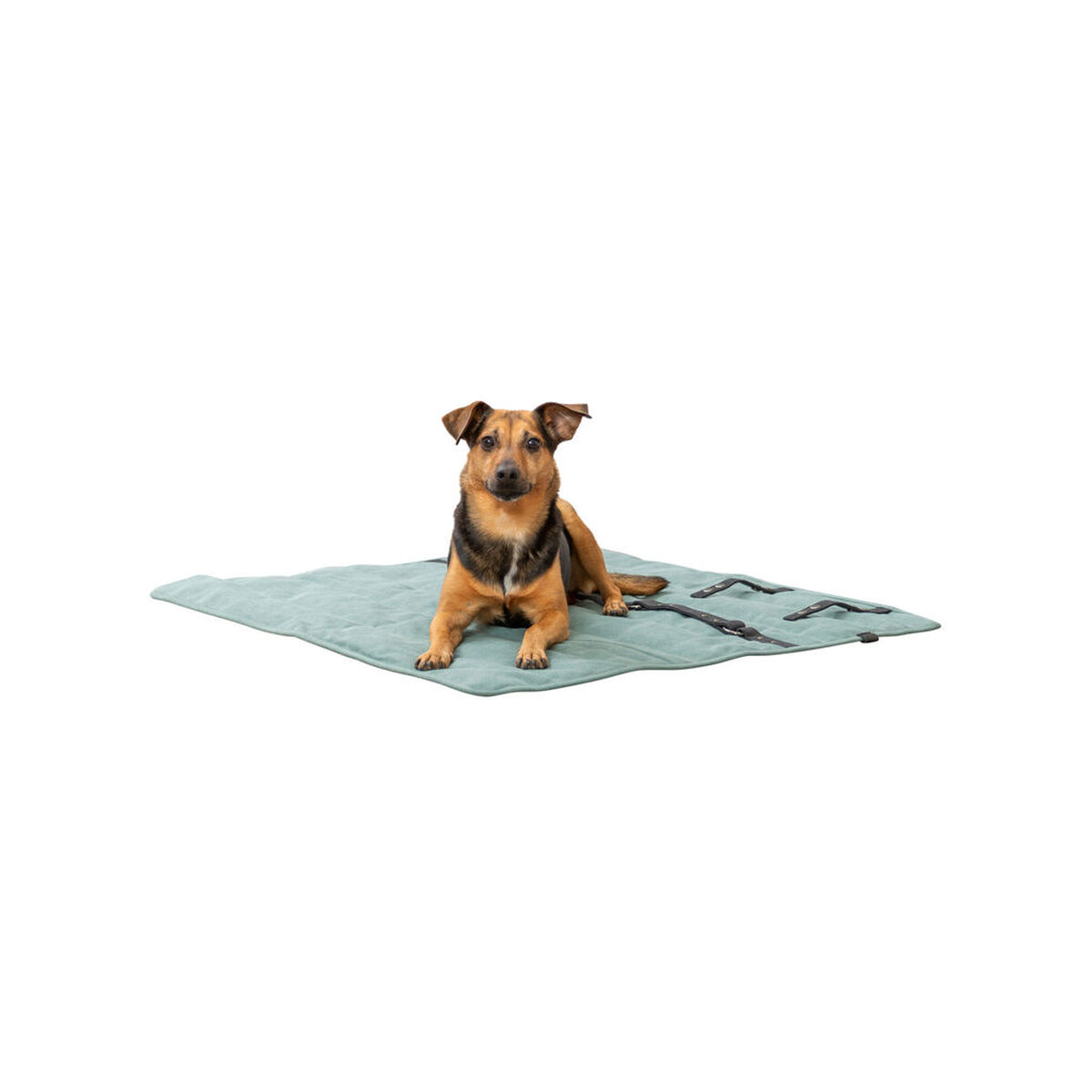Pet blanket Trixie CityStyle Green Polyester Cotton 80 × 80 cm, view 2