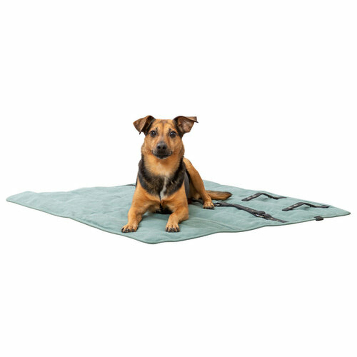 Pet blanket Trixie CityStyle Green Polyester Cotton 80 × 80 cm, view 3