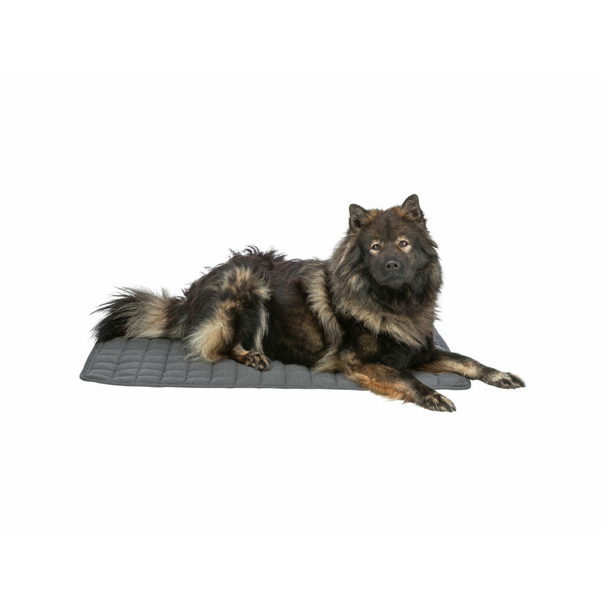 Airbed Trixie Dark grey 100 70 CM Dog