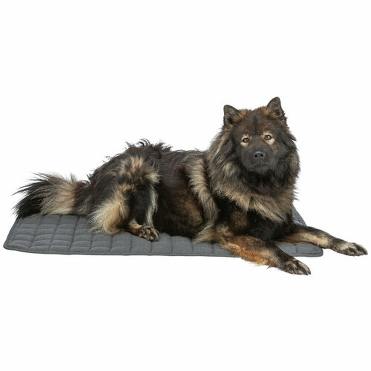 Airbed Trixie Dark grey 100 70 CM Dog