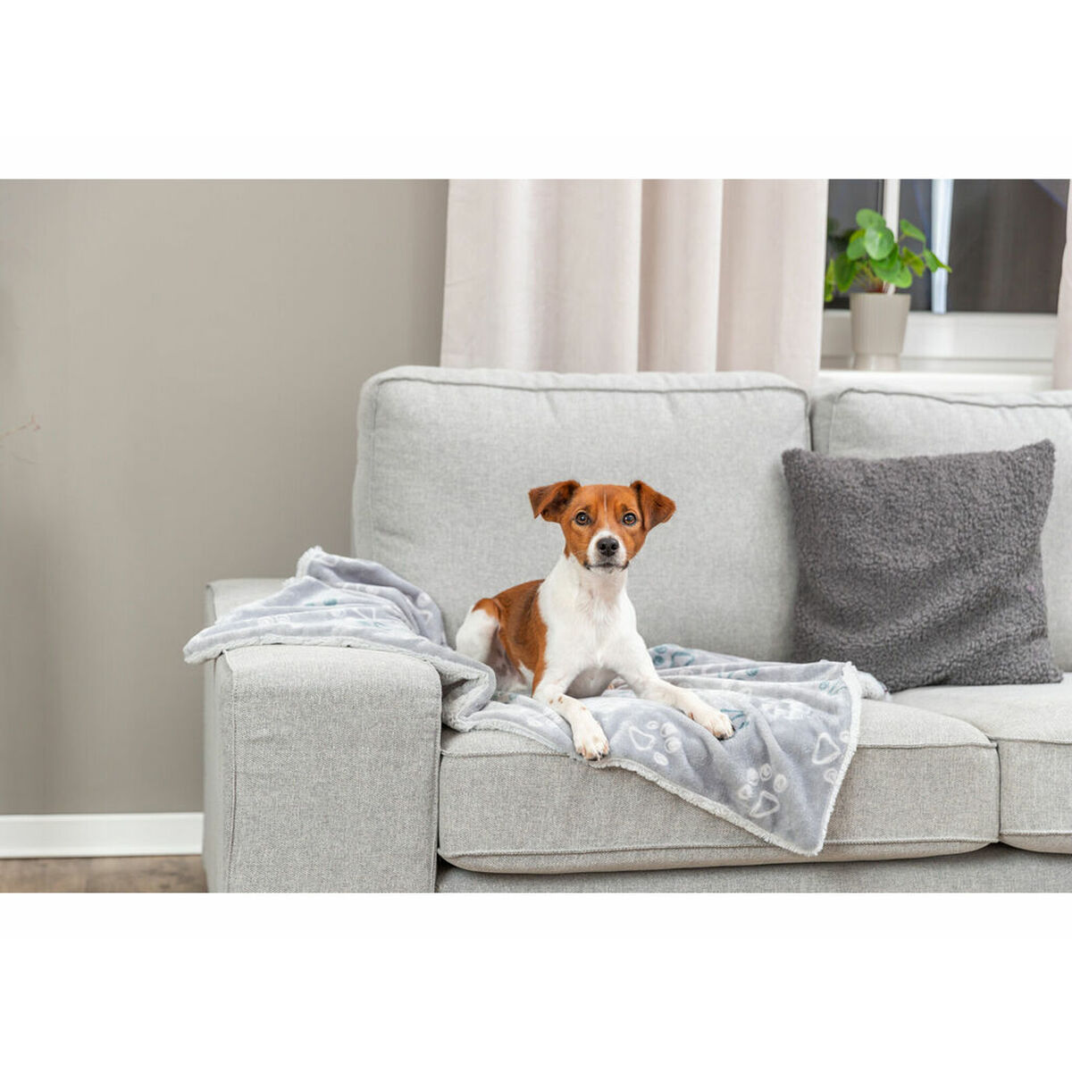 Pet blanket Trixie Jimmy Soft Light grey Polyester Plush 100 x 70 cm