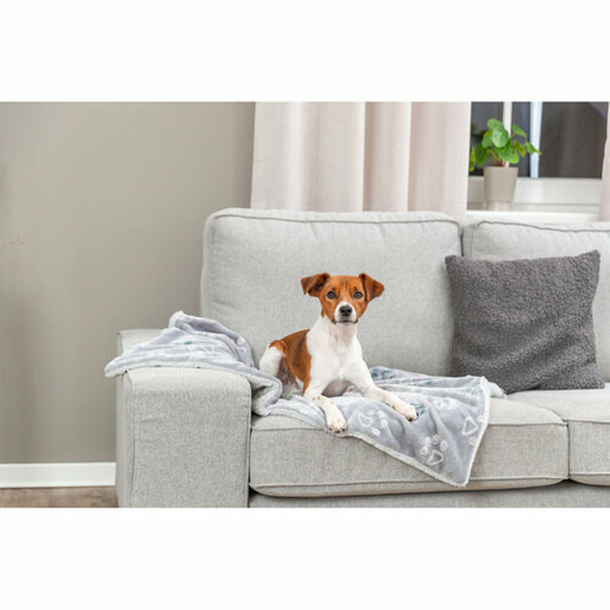 Pet blanket Trixie Jimmy Soft Light grey Polyester Plush 150  100 CM