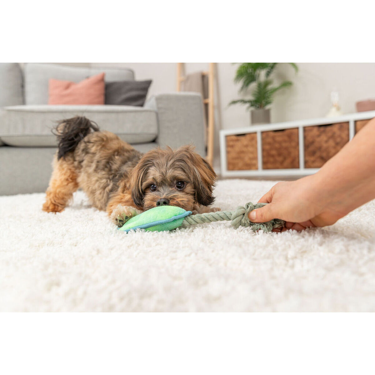 Soft toy for dogs Trixie Blue Green Polyester 22 cm, view 5