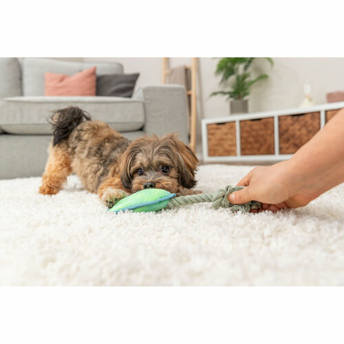 Soft toy for dogs Trixie Blue Green Polyester 22 cm, view 6