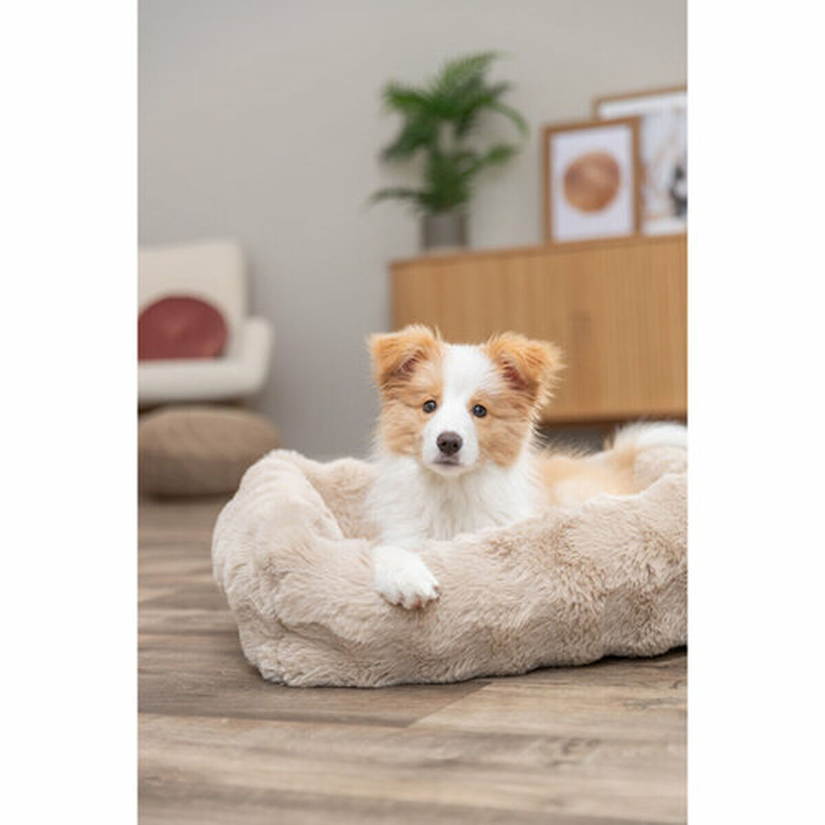Dog Bed Trixie Sand 60  50 cm