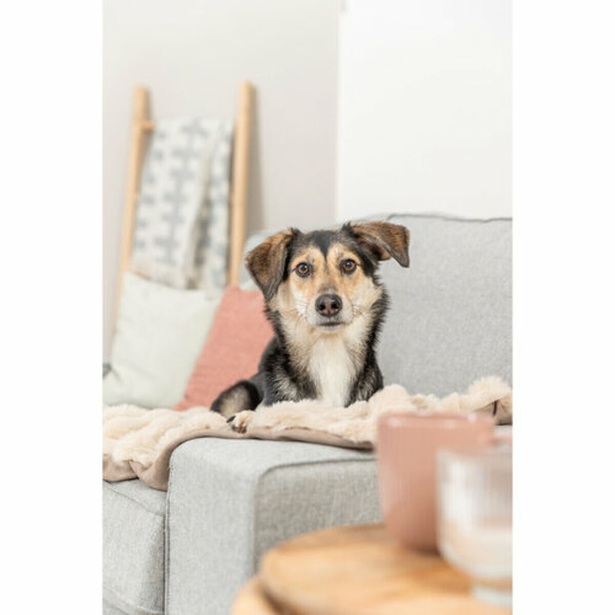 Pet blanket Trixie Elli Sand Polyester 100  70 CM