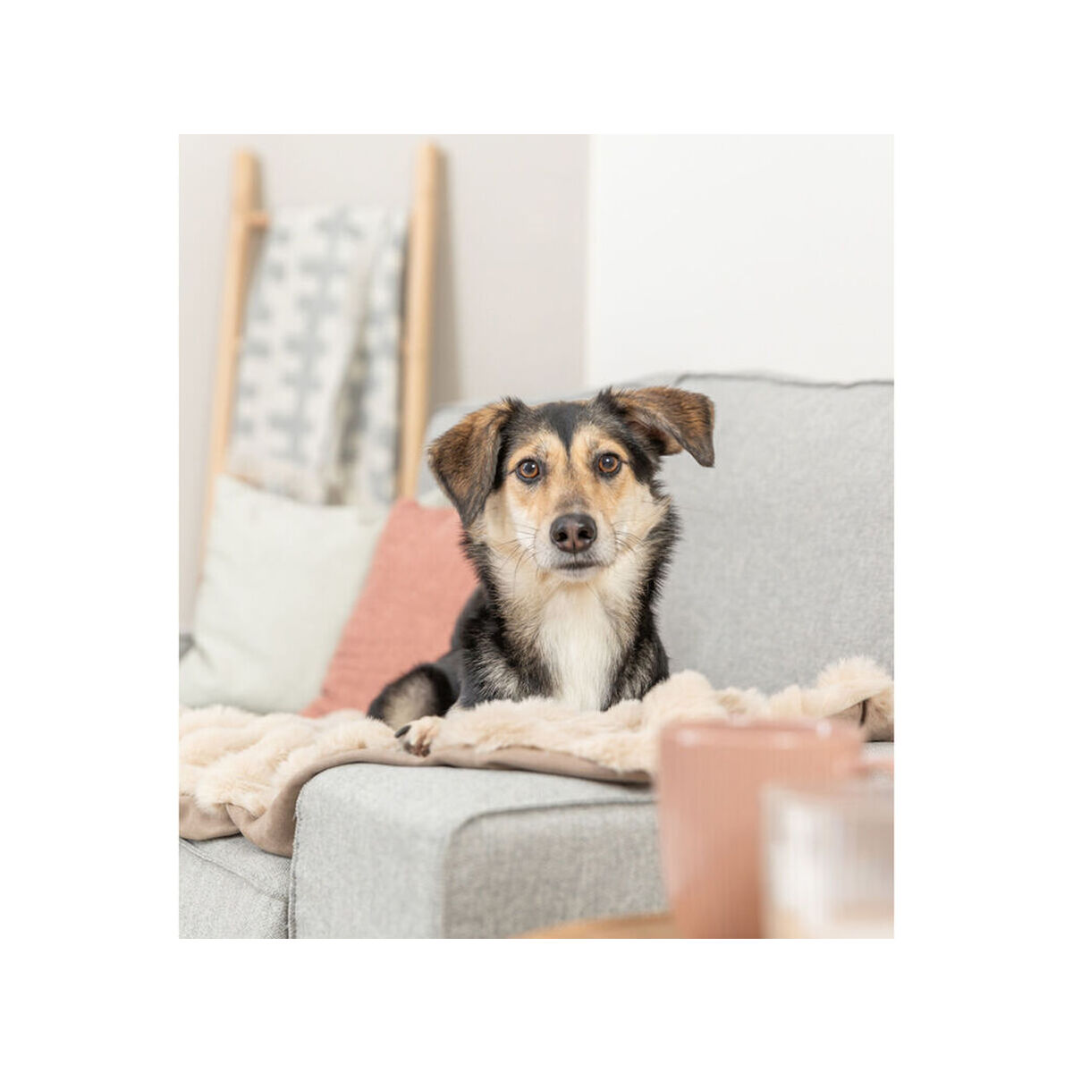 Pet blanket Trixie Elli Sand Polyester 150 x 100 cm, view 3