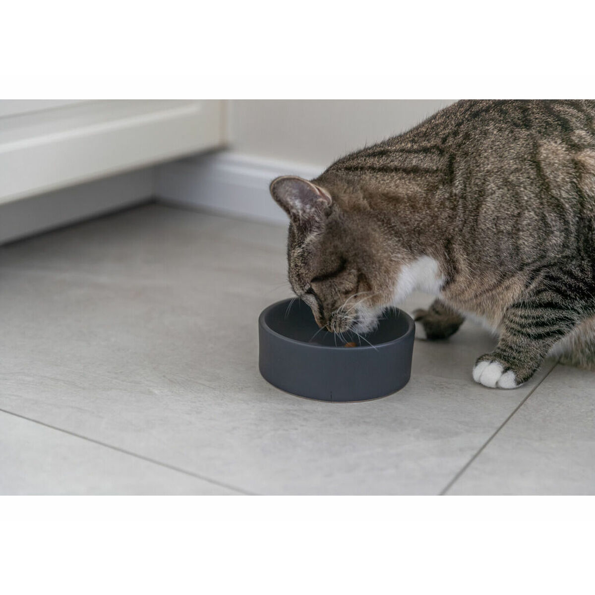 Cat Feeder Trixie Ceramic  12 cm