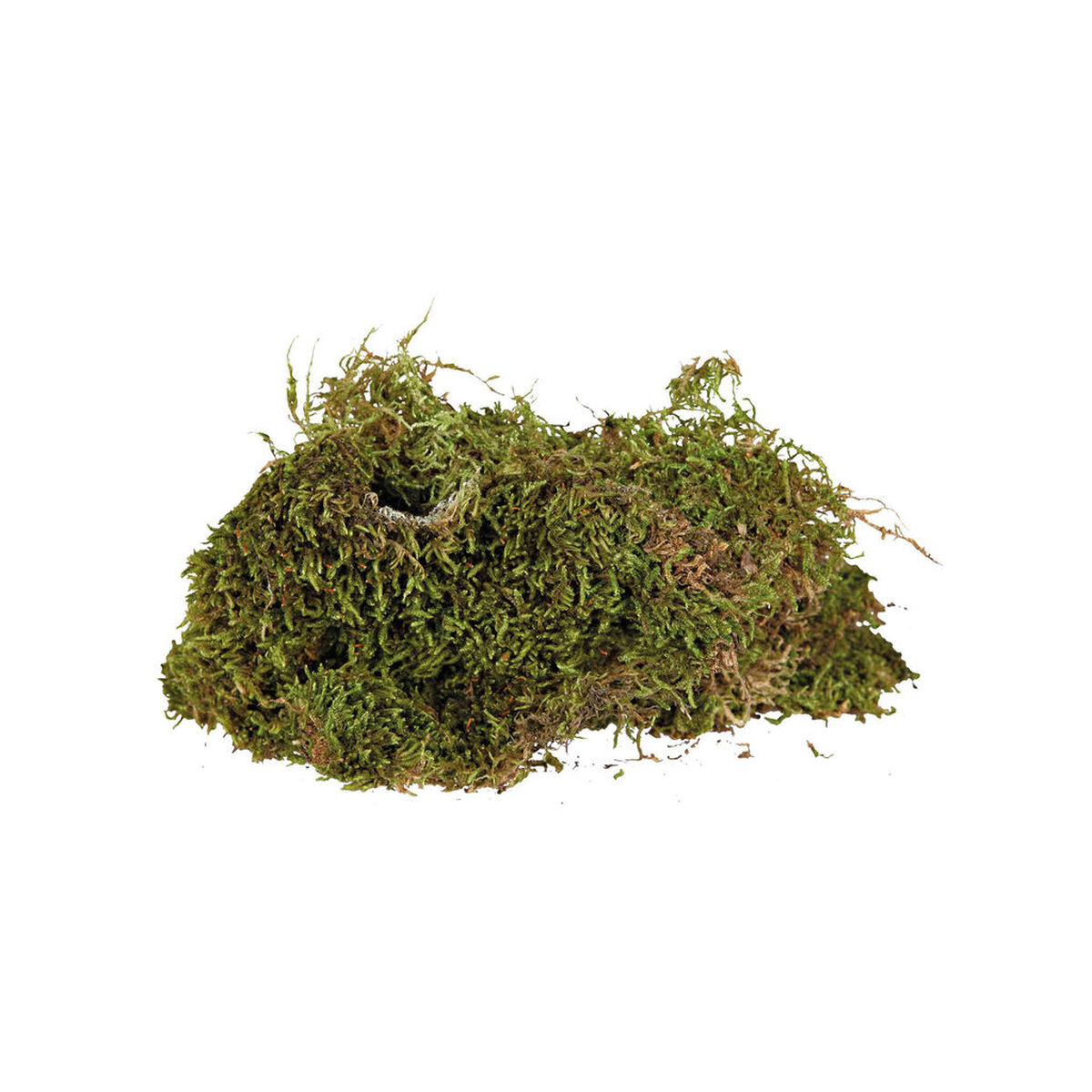 Substrate Trixie 200 g Moss, view 5