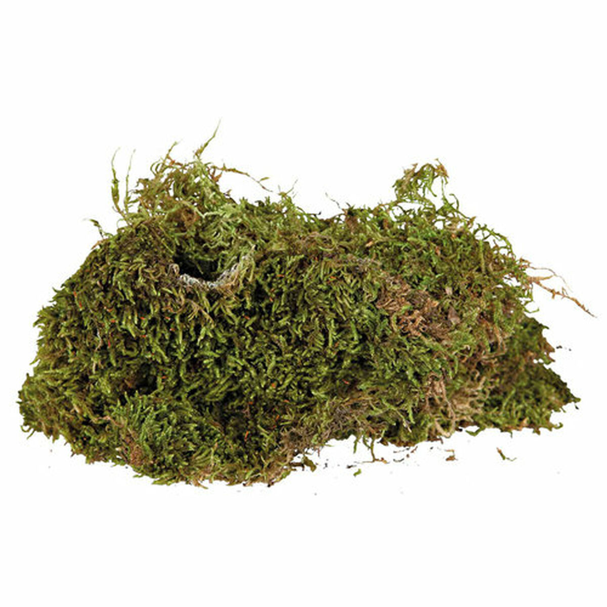 Substrate Trixie 200 g Moss, view 6