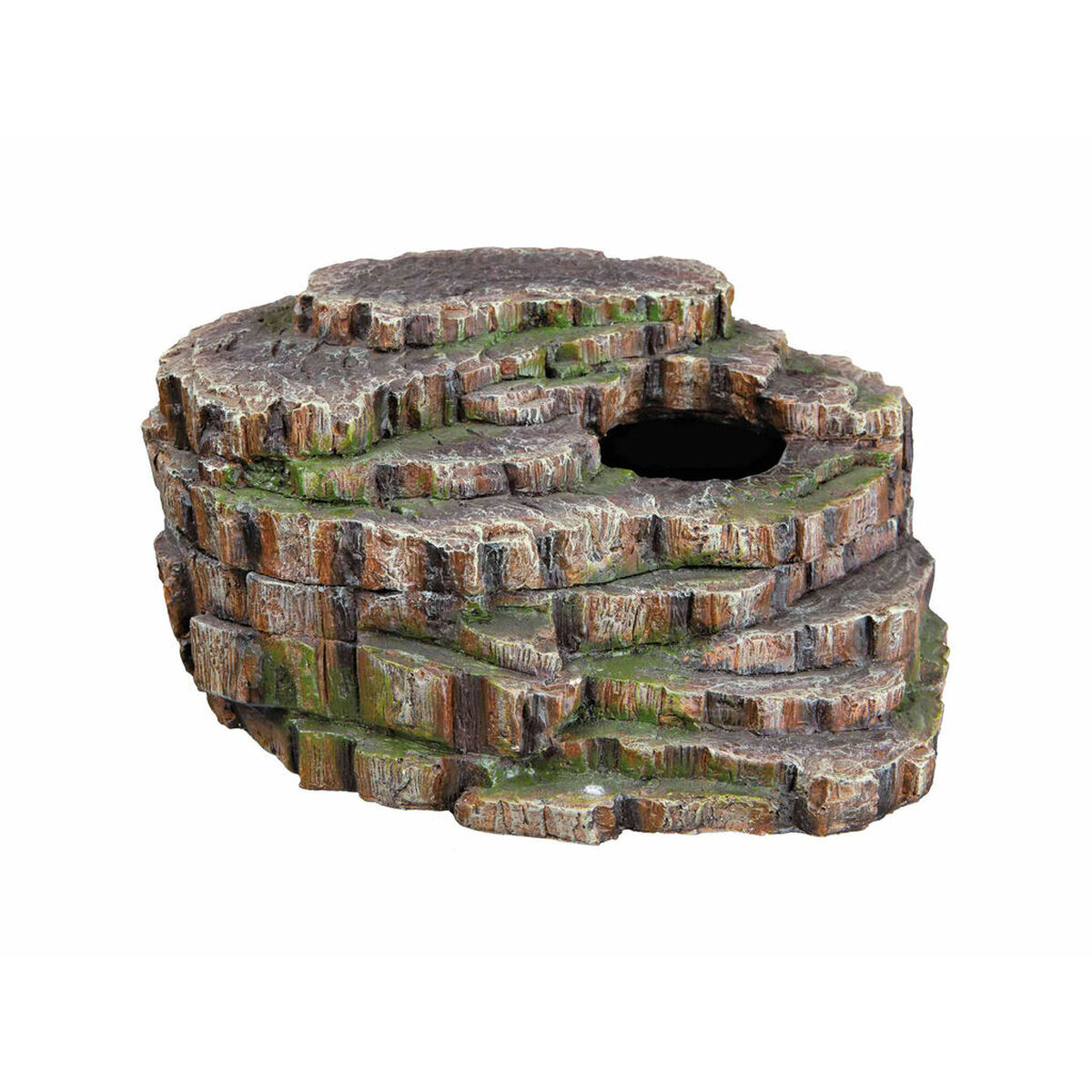 Kit base per terrari