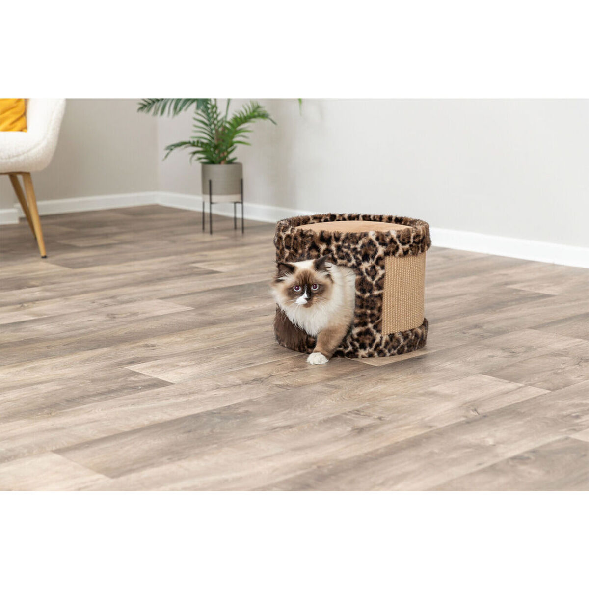 Scratching Post for Cats Trixie Leo Brown Ø 38 x 30 cm, view 3