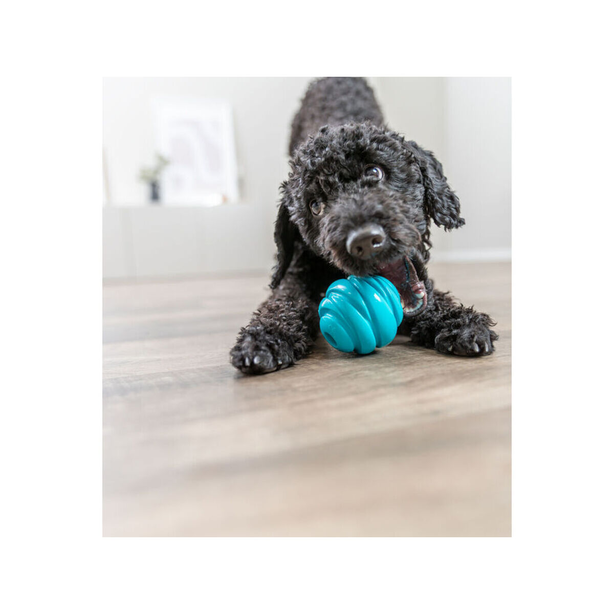 Hondenspeelgoed Trixie Super Strong Blauw