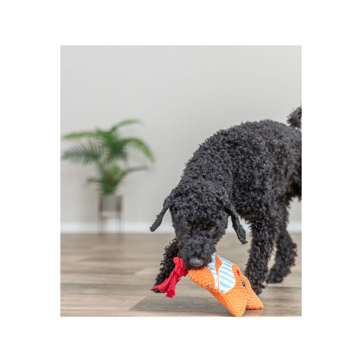 Soft toy for dogs Trixie Orange Starfish 22 cm Polyester, view 3