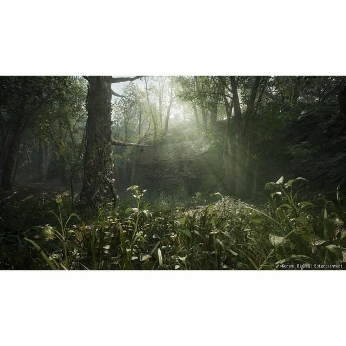 Picture of Xbox Series X Video Game Just For Games Metal Gear Solid δ: Snake Eater