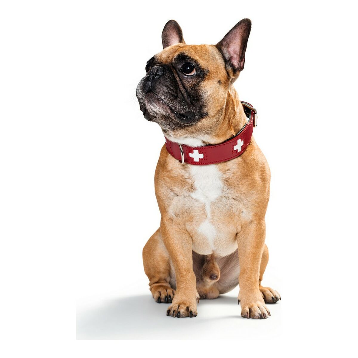Dog collar Hunter Swiss Red/Black (24-28.5 cm), view 4