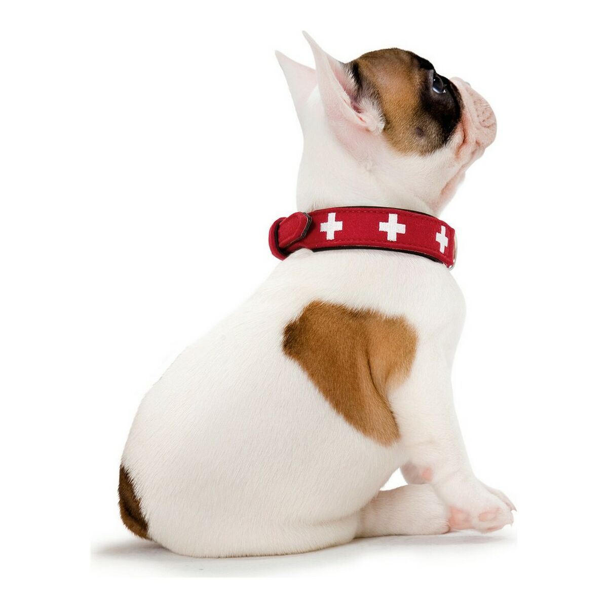 Dog collar Hunter Swiss Red/Black (24-28.5 cm), view 5