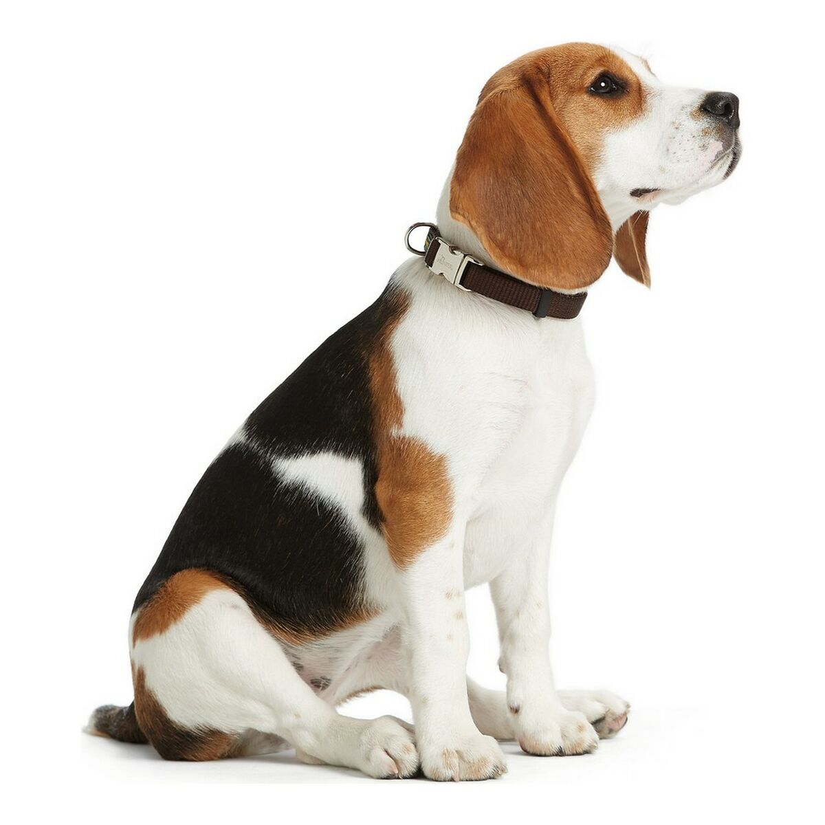 Dog collar Hunter Alu-Strong Orange L 40-55 cm, view 3