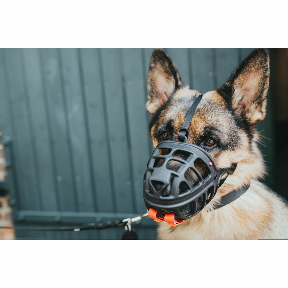 Muzzle Hunter Albury Black Size 6 (43 cm) (85 cm) (10 cm), view 3
