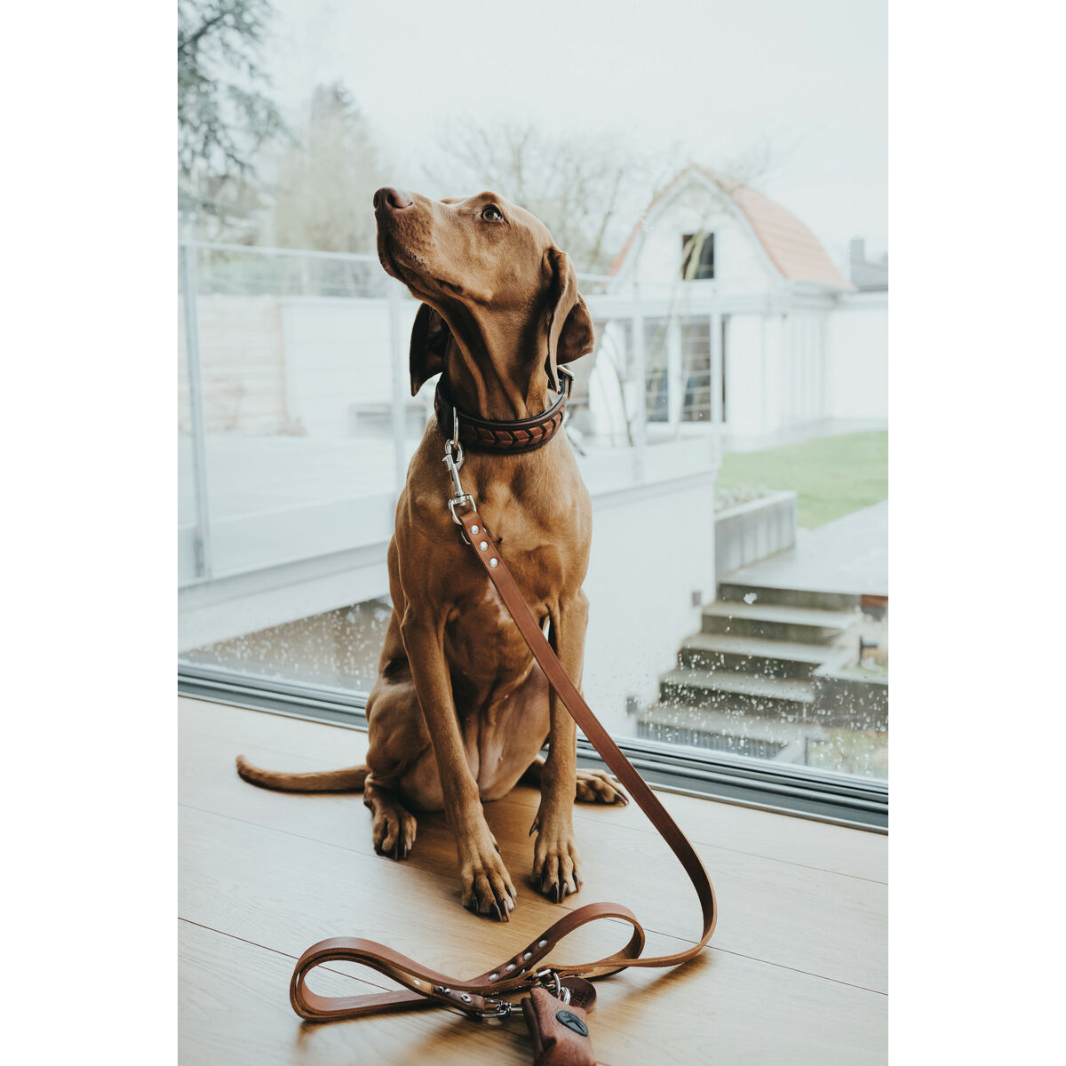 Dog Lead Hunter Brown 200 cm, view 3