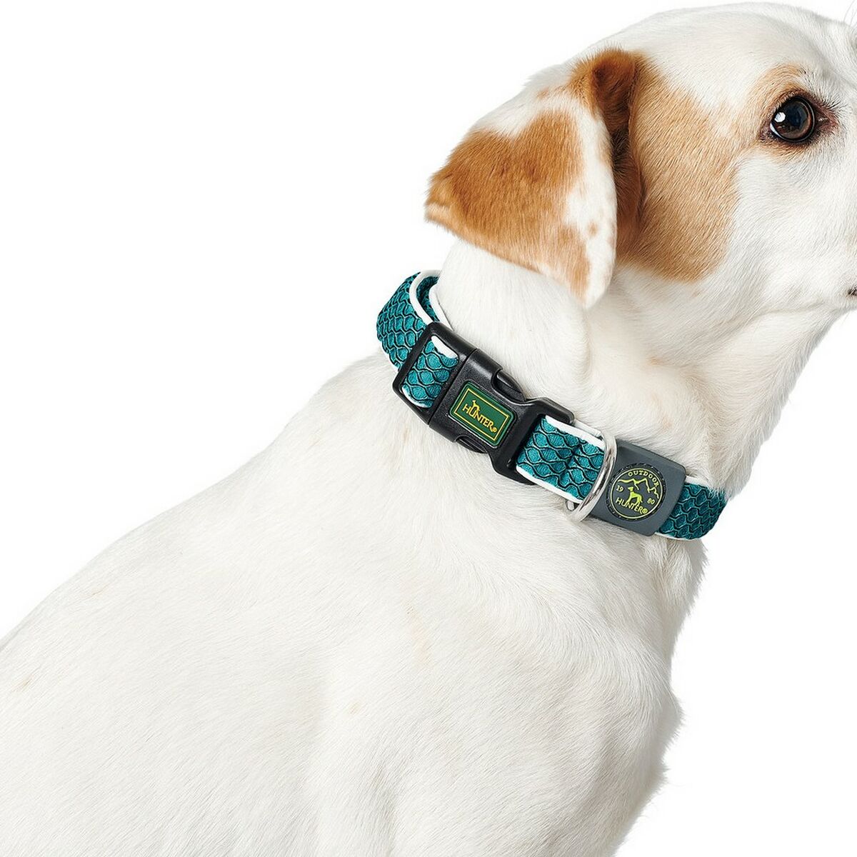Dog collar Hunter Basic Thread Anthracite Size S (30-43 cm), view 2