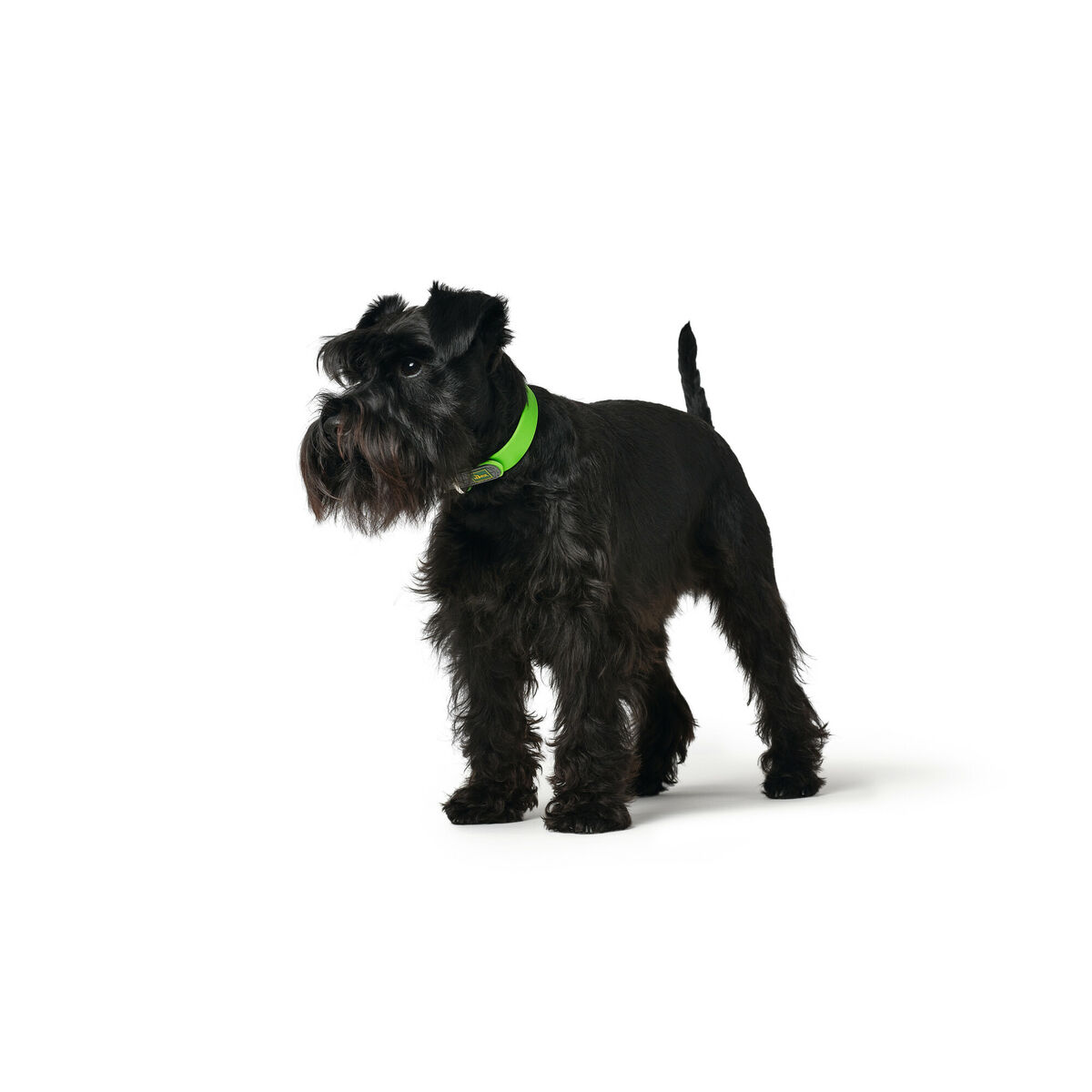 Dog collar Hunter Convenience 23-31 cm Green XS/S, view 3