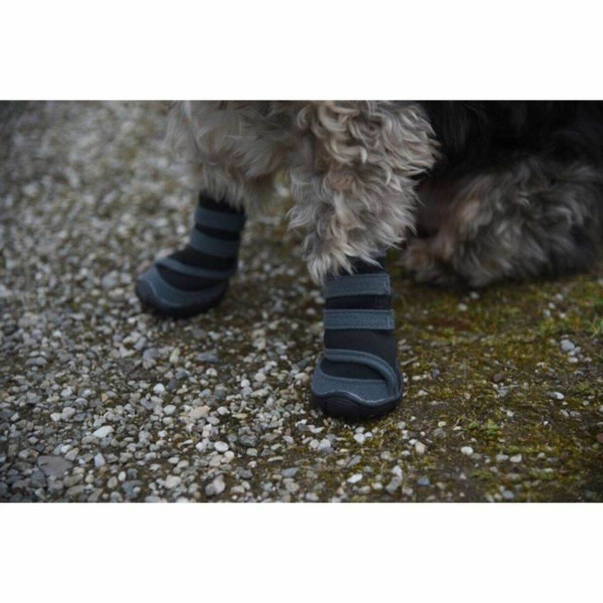 Dog shoes Kerbl Black Grey S, view 3