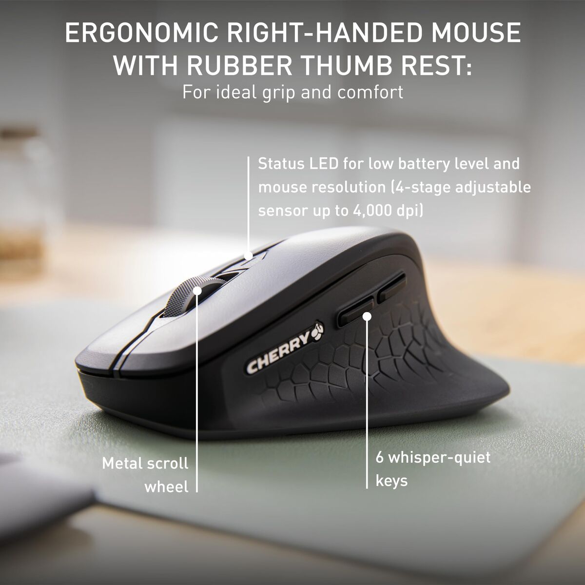 Picture of Keyboard and Mouse Cherry JD-8550ES-2 Black Spanish QWERTY