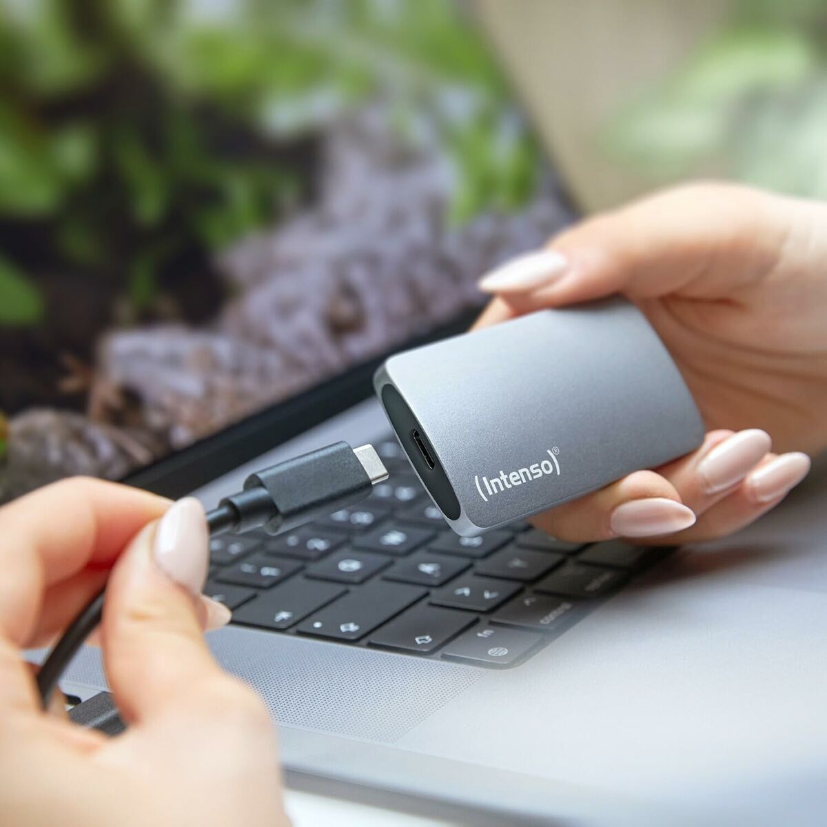 Image de External Hard Drive INTENSO 3828450 2,5" 500 GB SSD