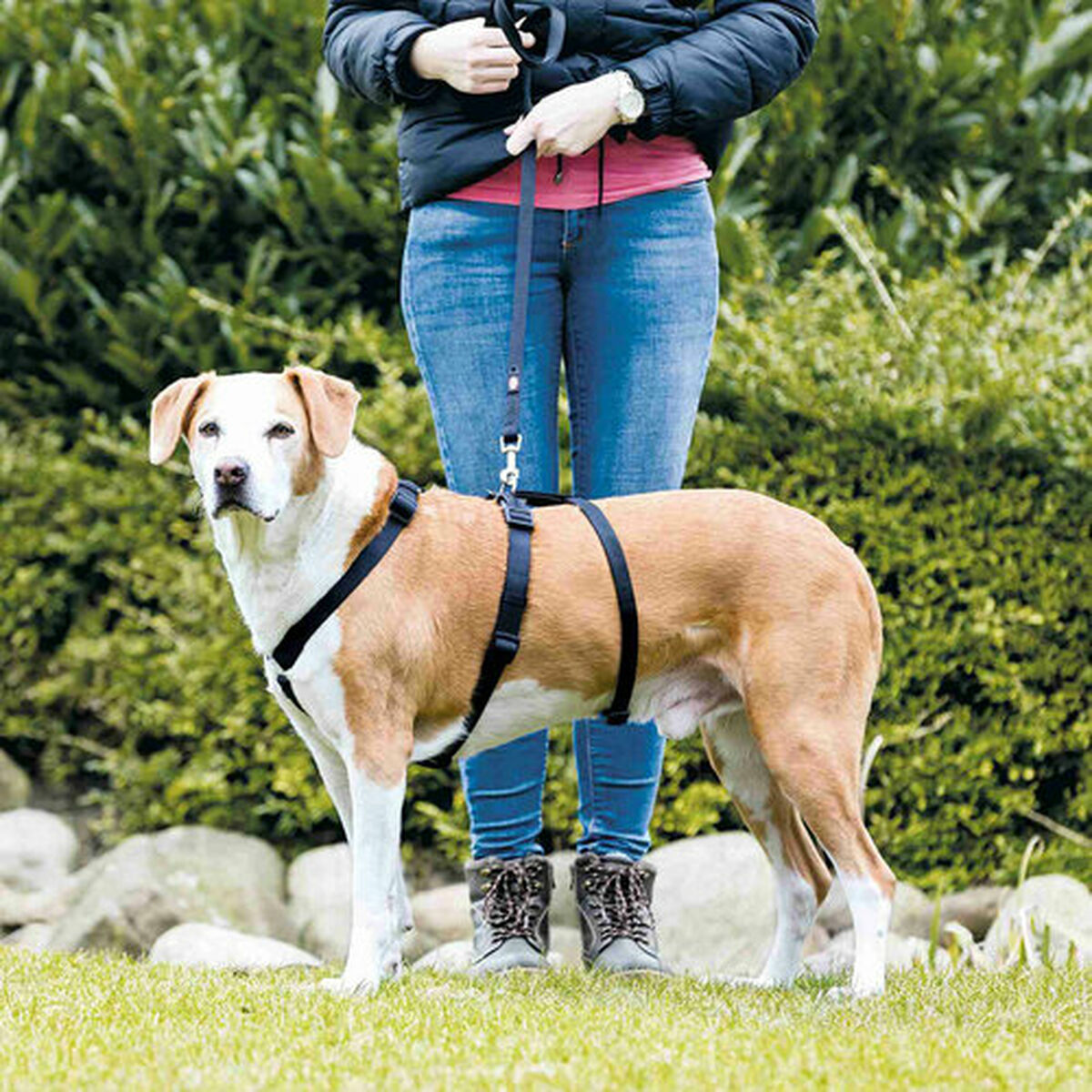 Guide harness for dog Trixie Stay Black L/XL, view 4