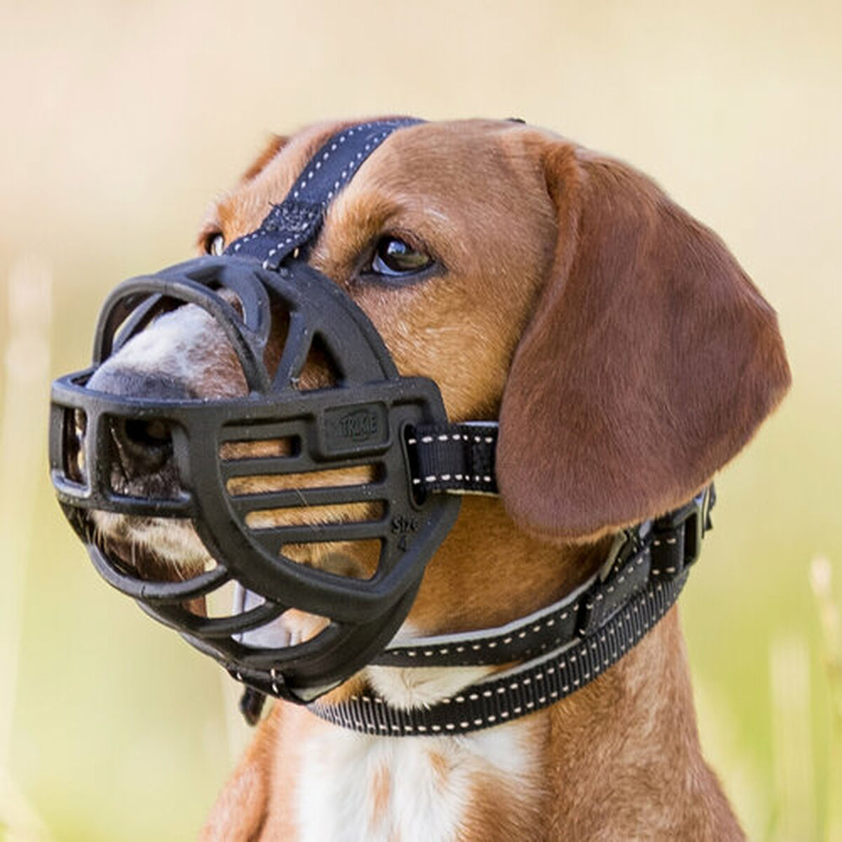 Muzzle Trixie 17612 Black M, view 3