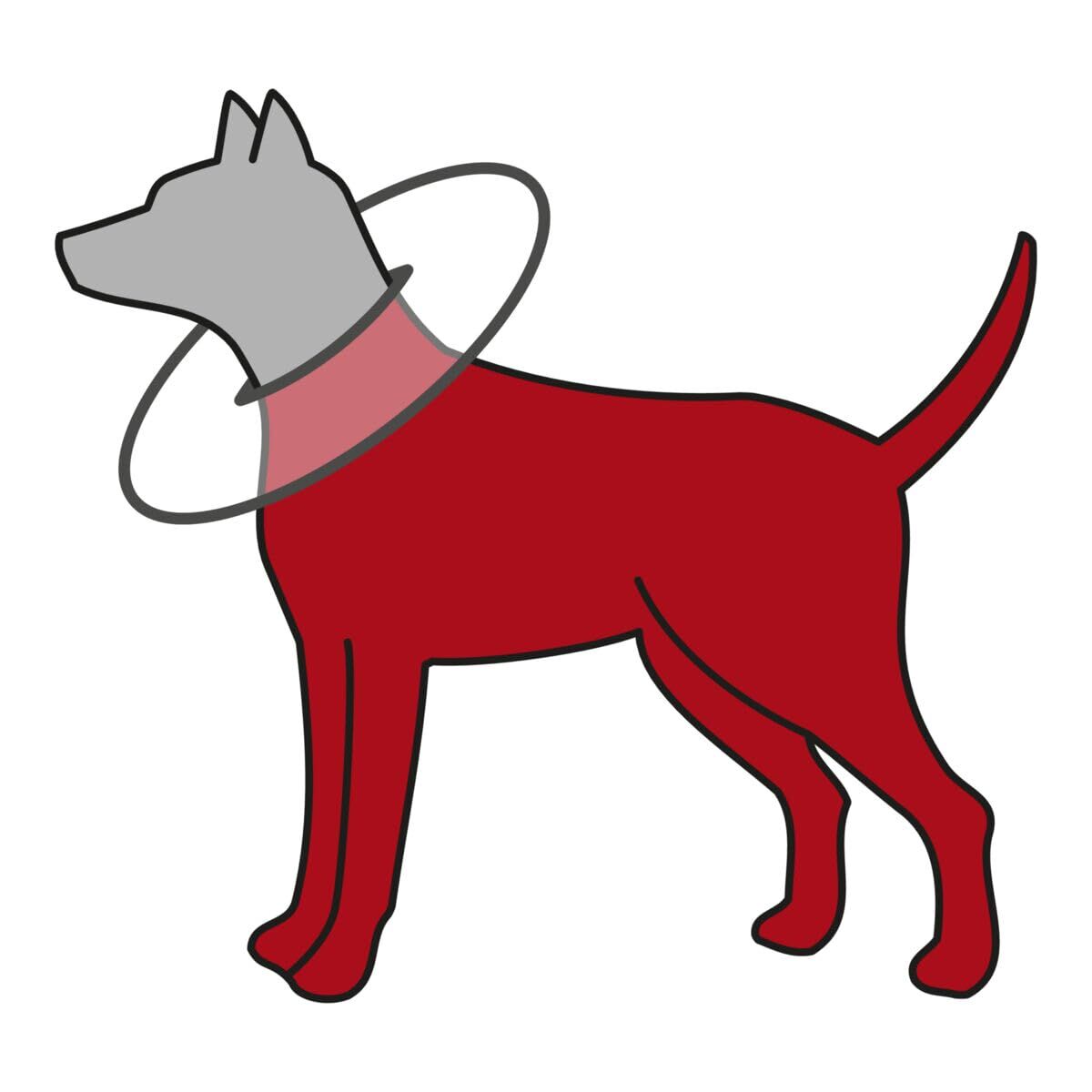 Image 21