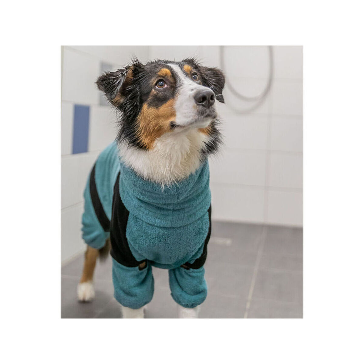 Dog bathrobe Trixie Blue XS, view 2