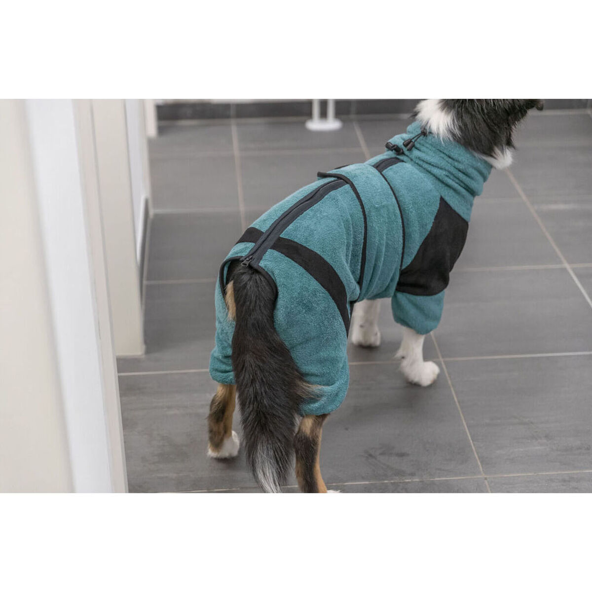 Dog bathrobe Trixie Blue XS, view 4
