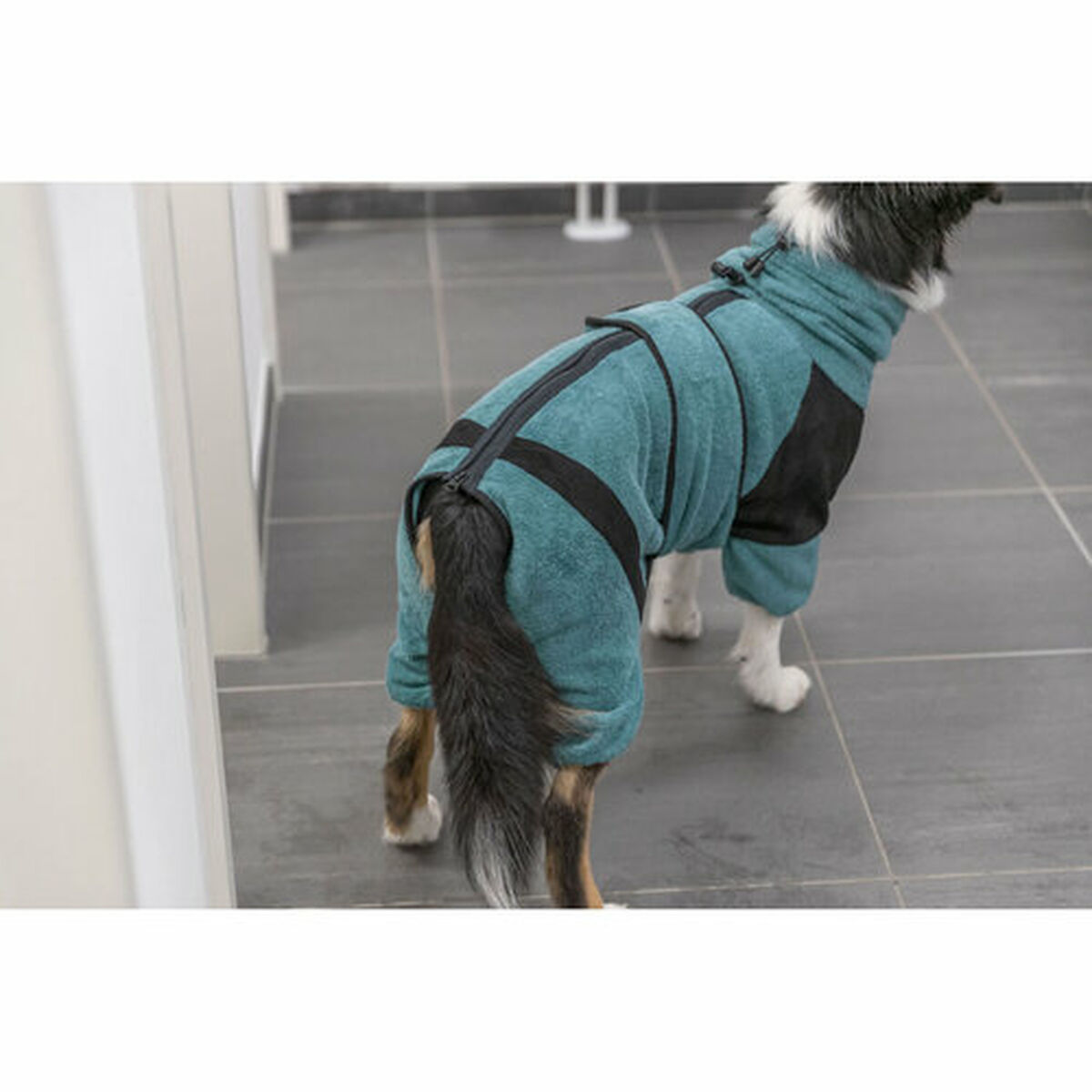 Dog bathrobe Trixie Blue XS, view 5