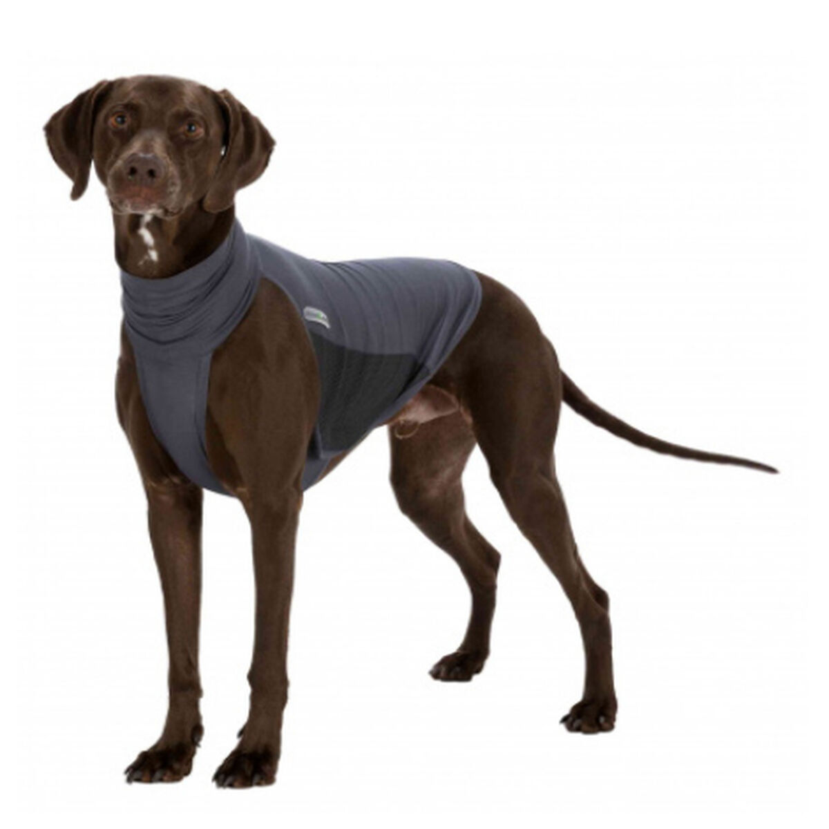 Dog Waistcoat Trixie Grey S, view 2