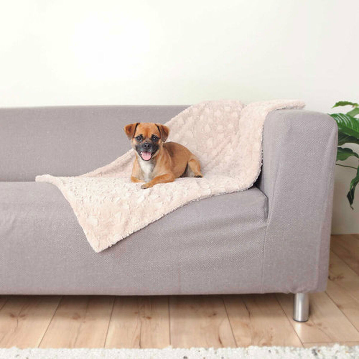 Pet blanket Trixie Cosy Beige Plush 70 × 50 cm, view 4